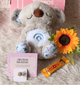 PELUCHE KOALA ANTIESTRES - Tu nuevo abrazo favorito
