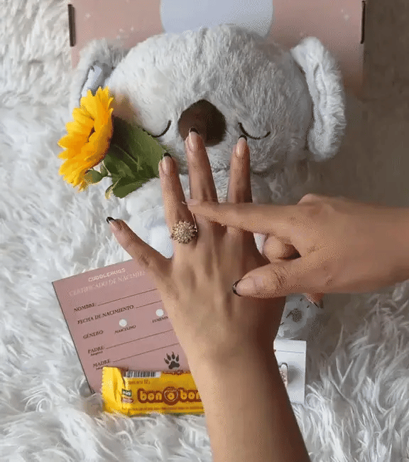 PELUCHE KOALA ANTIESTRES - Tu nuevo abrazo favorito